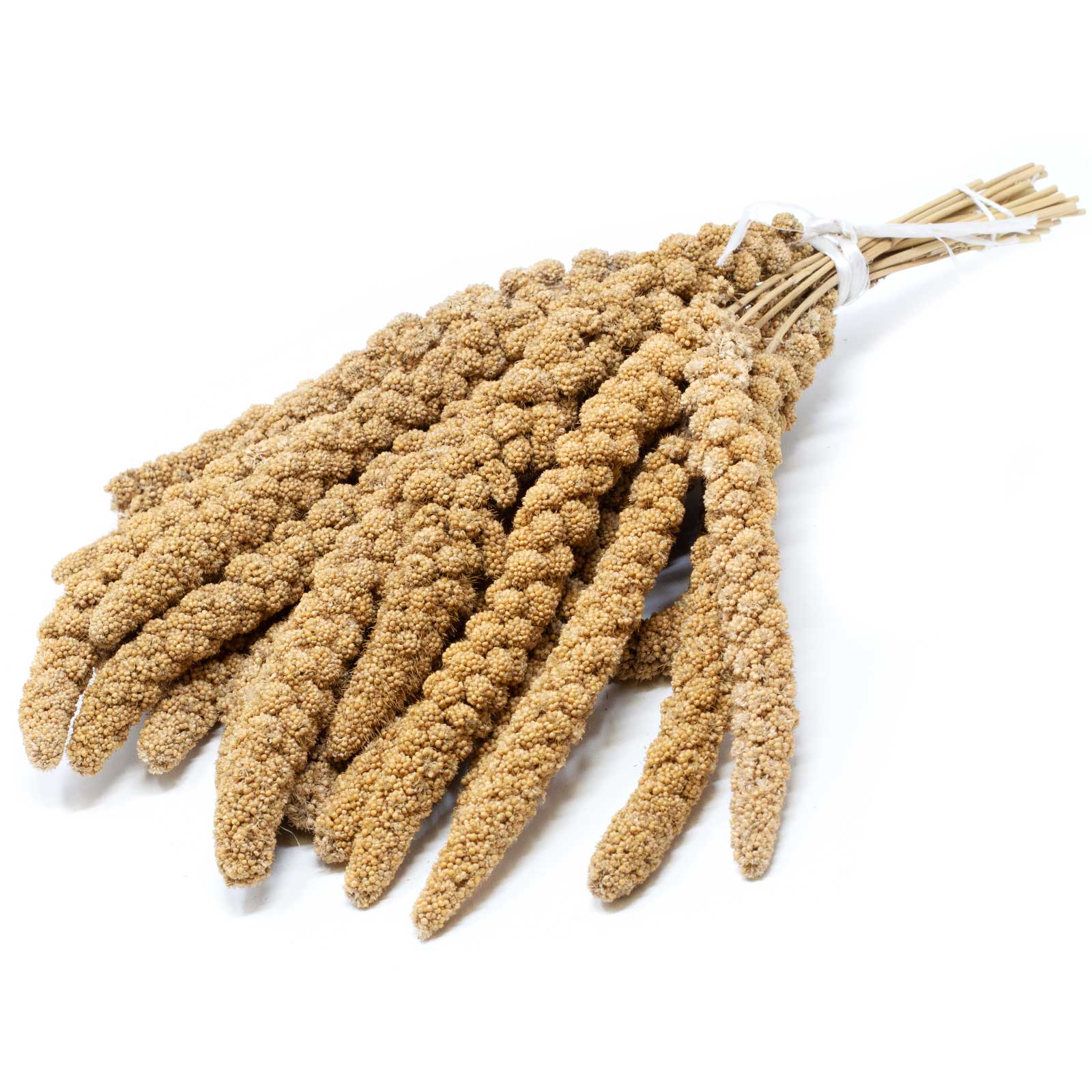 Leimüller Miglio giallo cinese a ramoscelli 5 kg