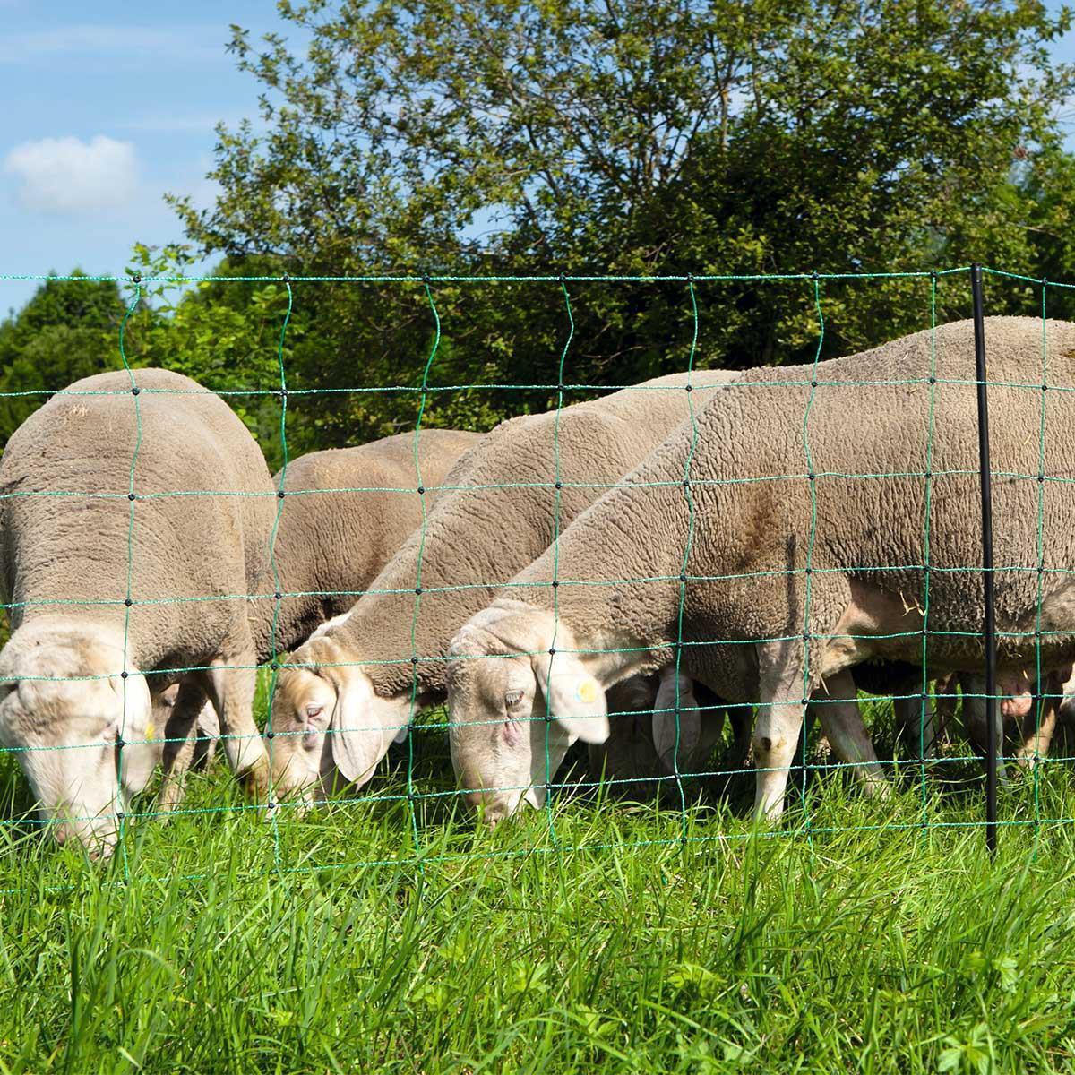 AKO Rete per pecore elettrificabile OviNet 50 m verde 90 cm punta singola