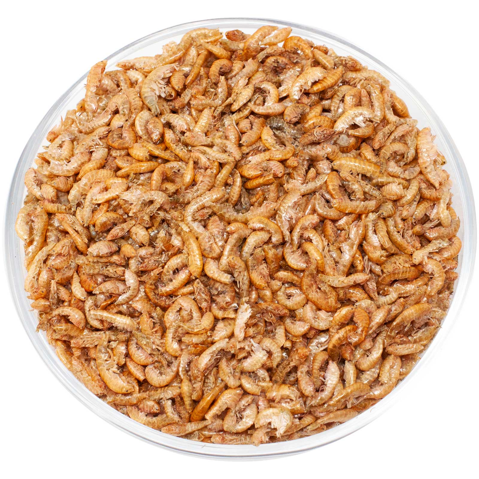 Leimüller Gammarus Gamberetti d'acqua dolce essiccati
