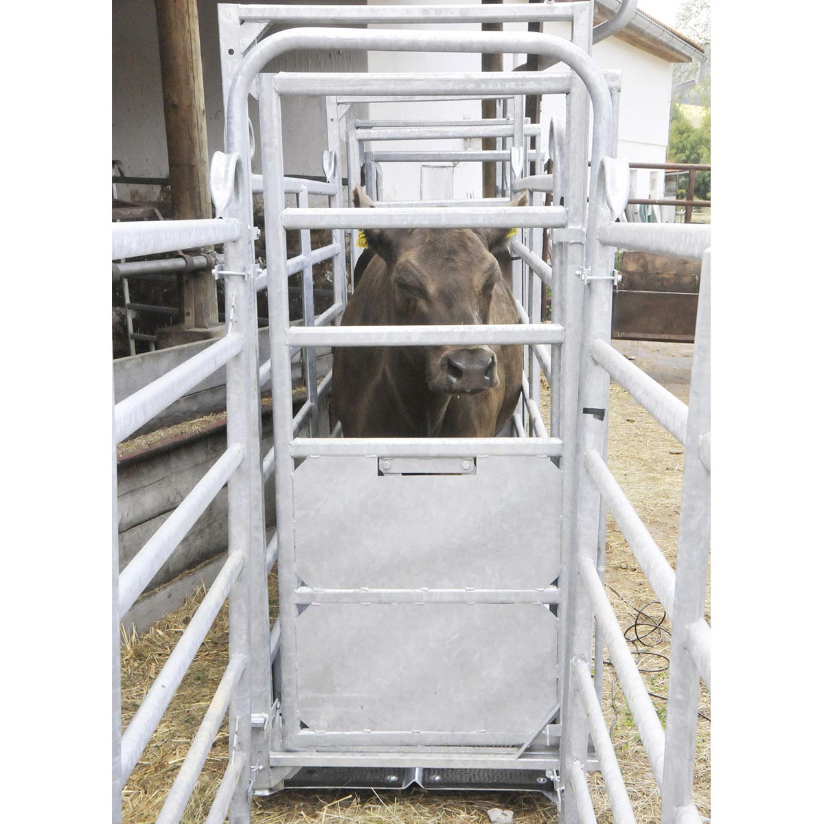 Bilancia pesa bestiame AniScale - Set completo
