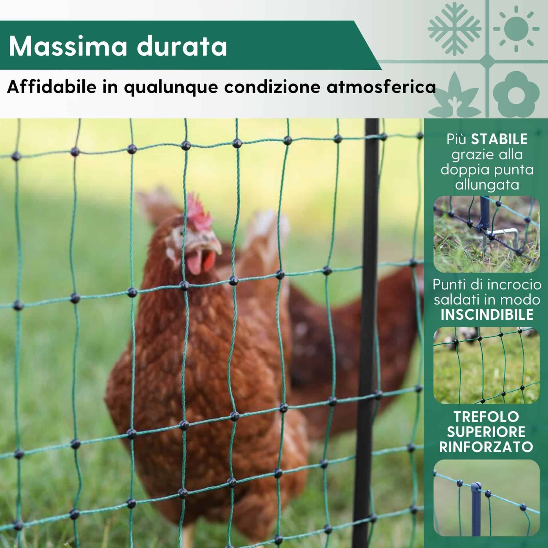 Agrarzone Rete per pollame CLASSIC non elettrificabile, doppia punta, verde 50 m x 106 cm