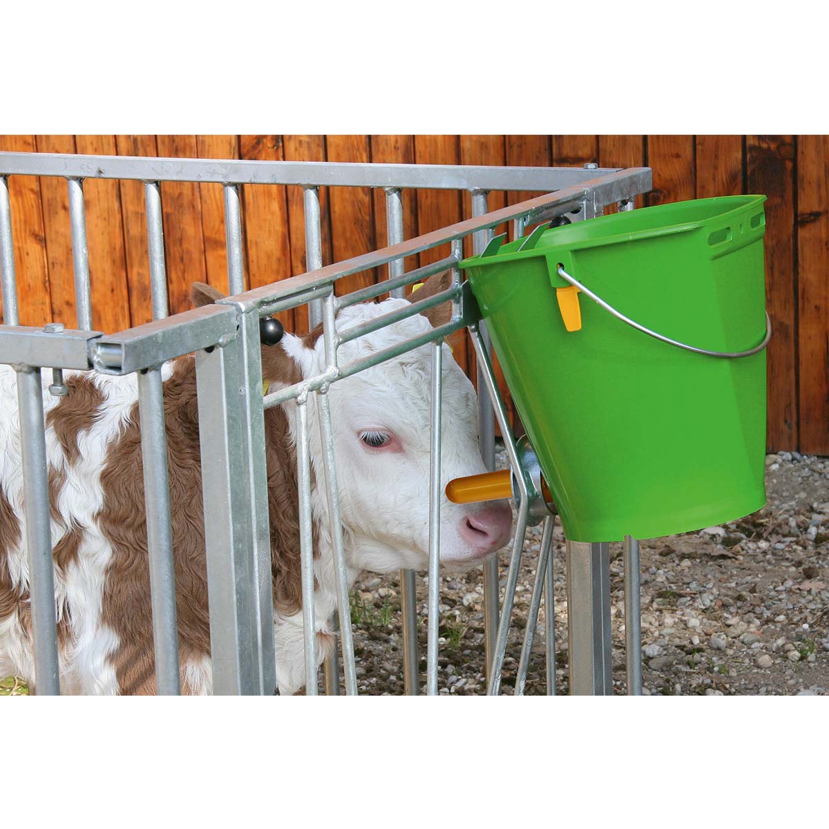 Secchio per allattamento vitelli con valvola igienica Kerbl