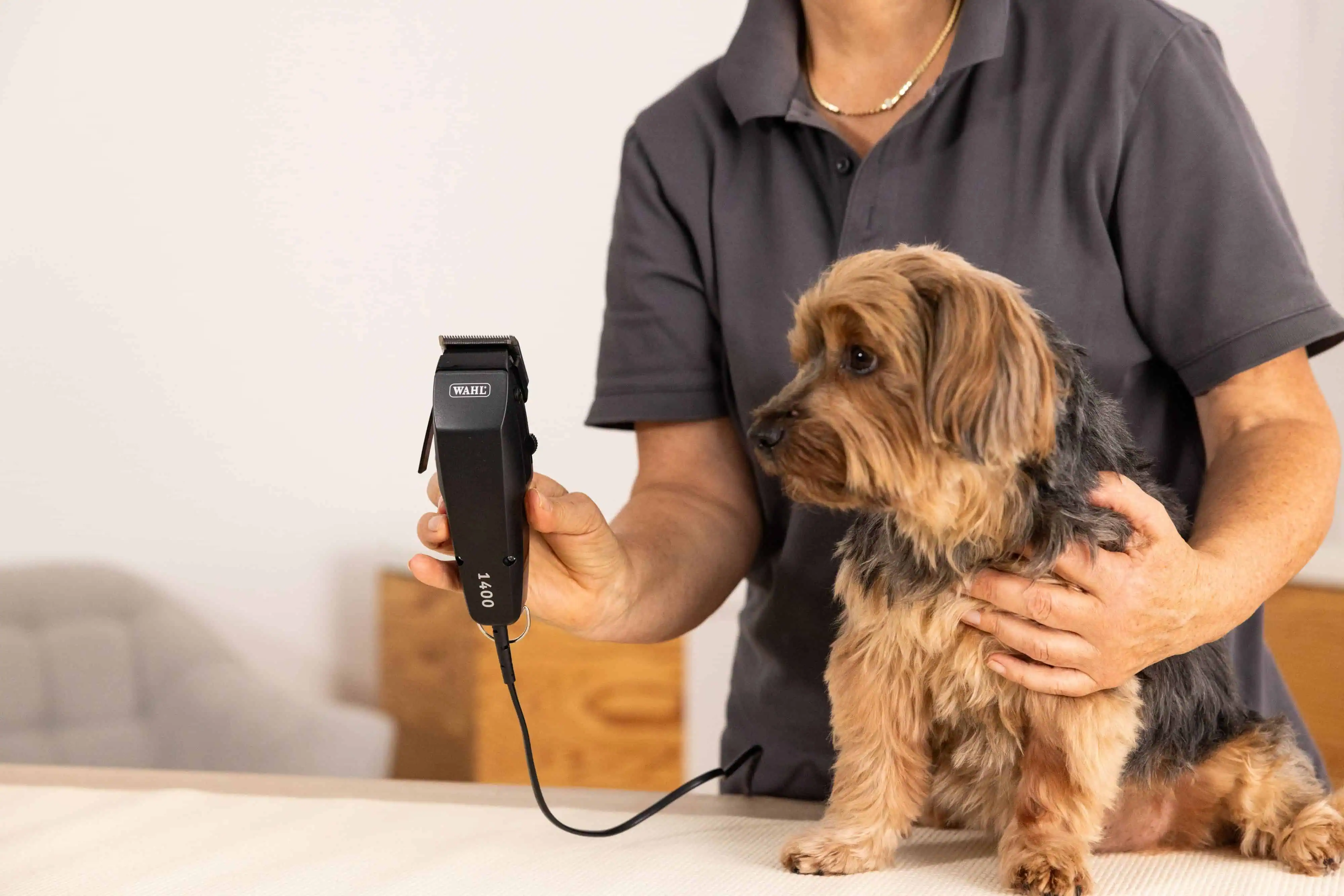 Incredibly Quiet – Ideal for Noise-Sensitive Animals