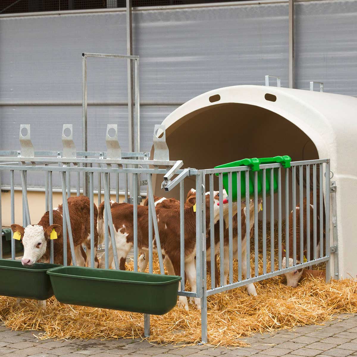 Abbeveratoio per vitelli Multi Feeder con 5 valvole (149) e 5 tettarelle Super (147)
