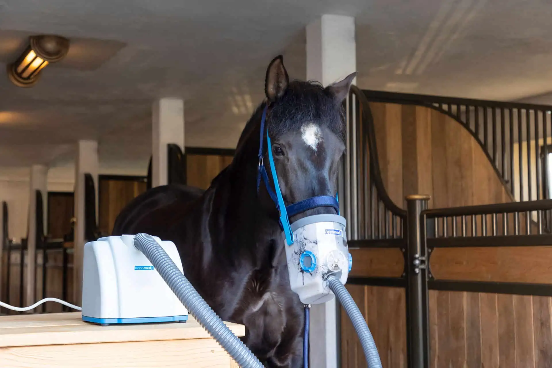 Hippomed Inalatore a ultrasuoni per cavalli AirOne senza mascherina