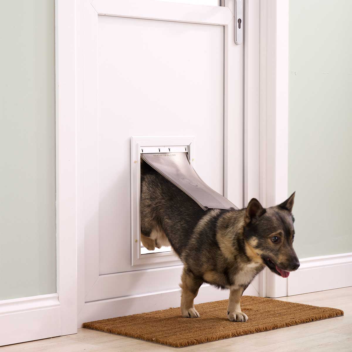 🐾 Acquistate uno sportello per cani: Comoda entrata e uscita per il vostro  cane