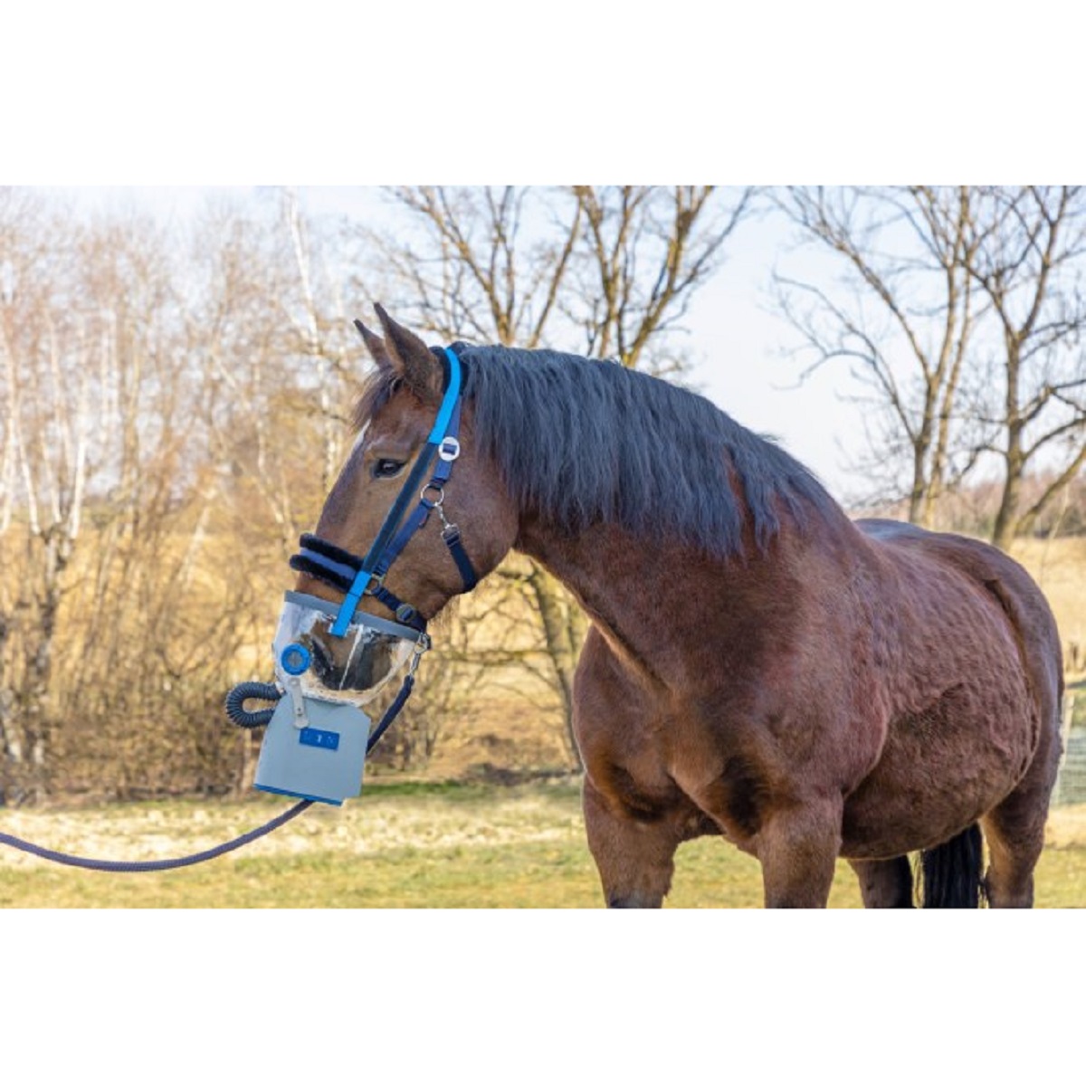 Hippomed Inalatore a ultrasuoni a batteria per cavalli AirOne Flex senza mascherina