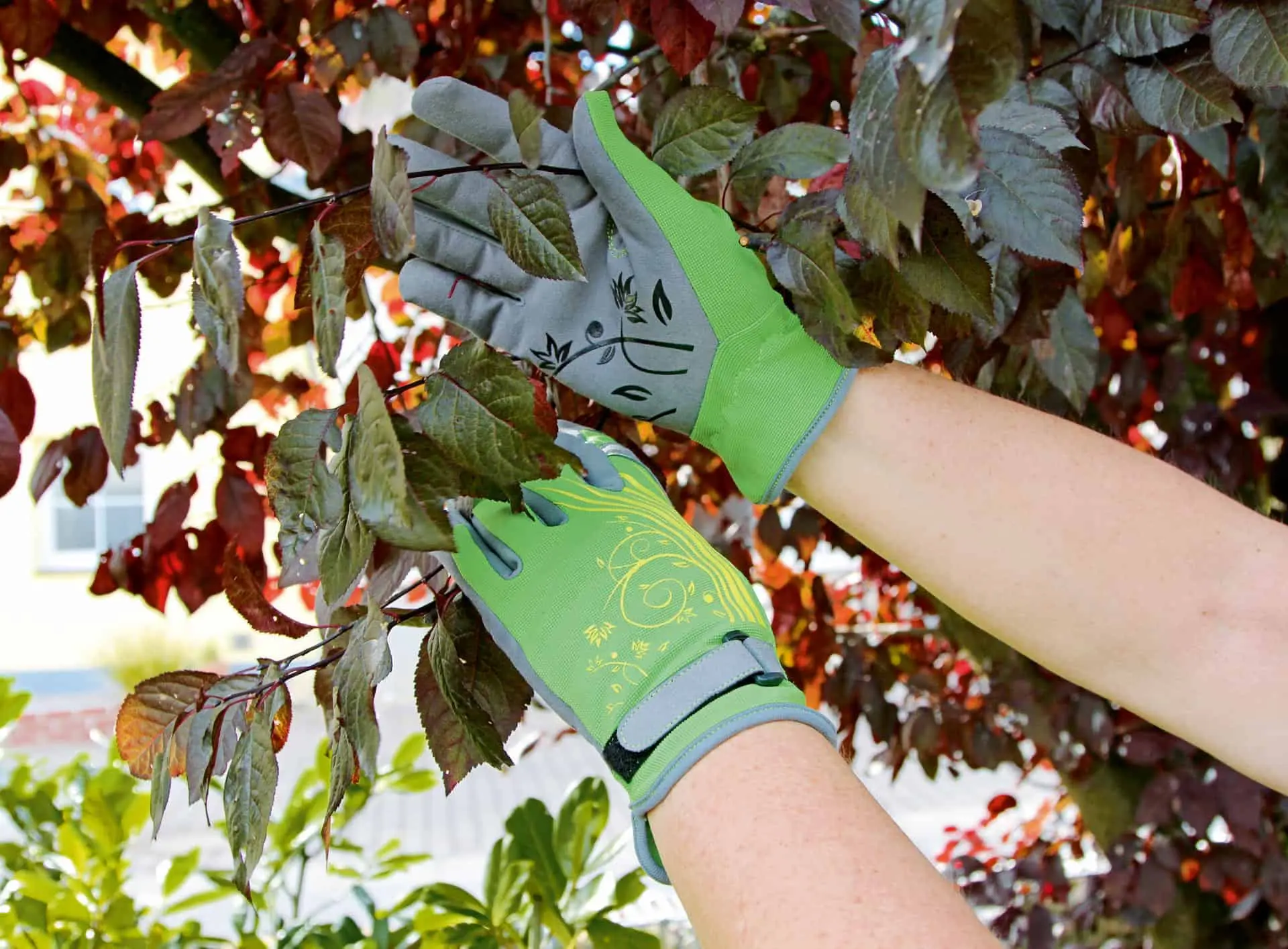 Garden glove Secret Garden