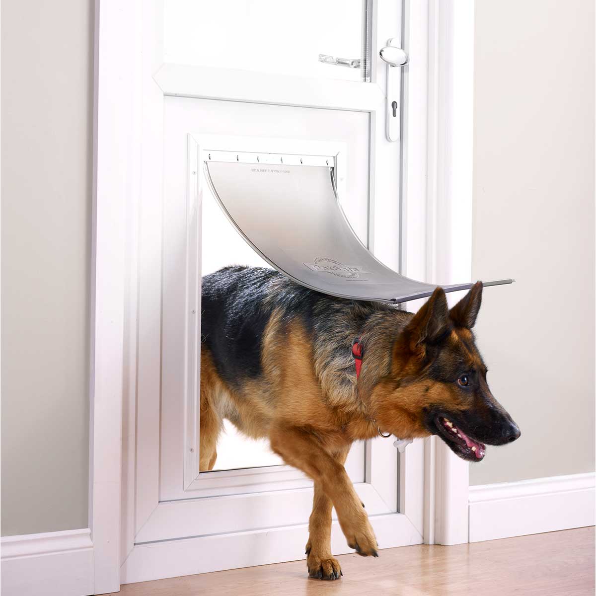 PetSafe Staywell Porta basculante per cani in alluminio 660ML. Fino a 100 Kg