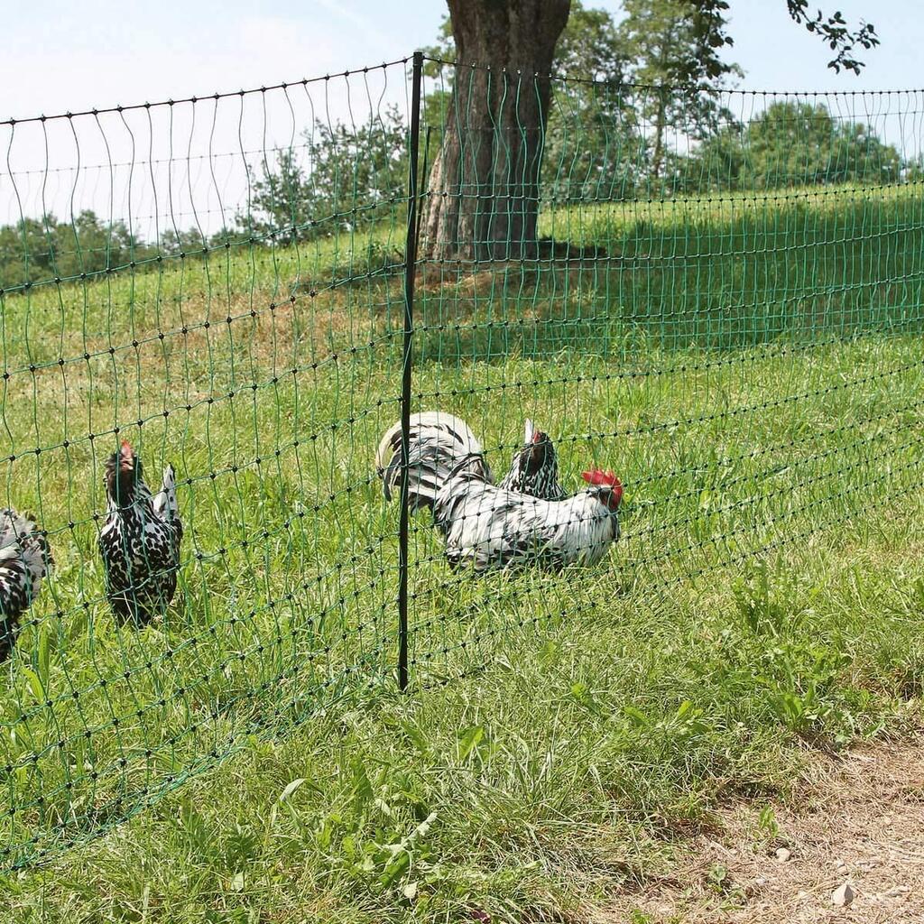 Agrarzone kit recinto per pollame DUO 1500 12V/230V, 2J, rete 50m x 112cm, con porta, verde