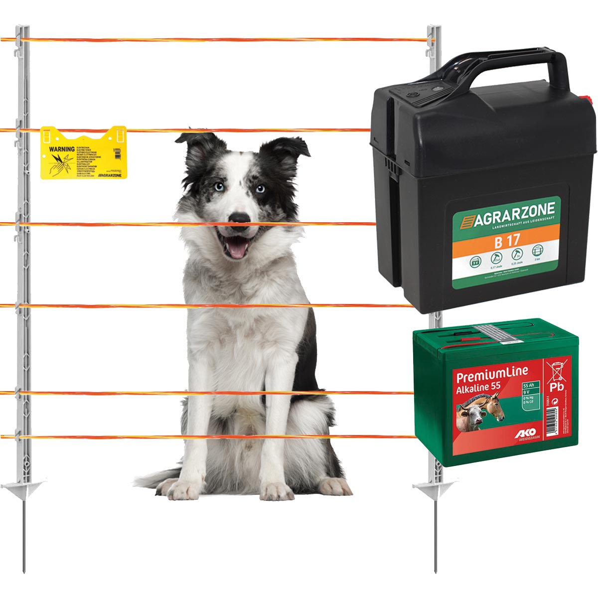 Agrarzone kit recinto per cani B17 9V/12V, 0,25J, filo elettrico 250 m, giallo/arancione