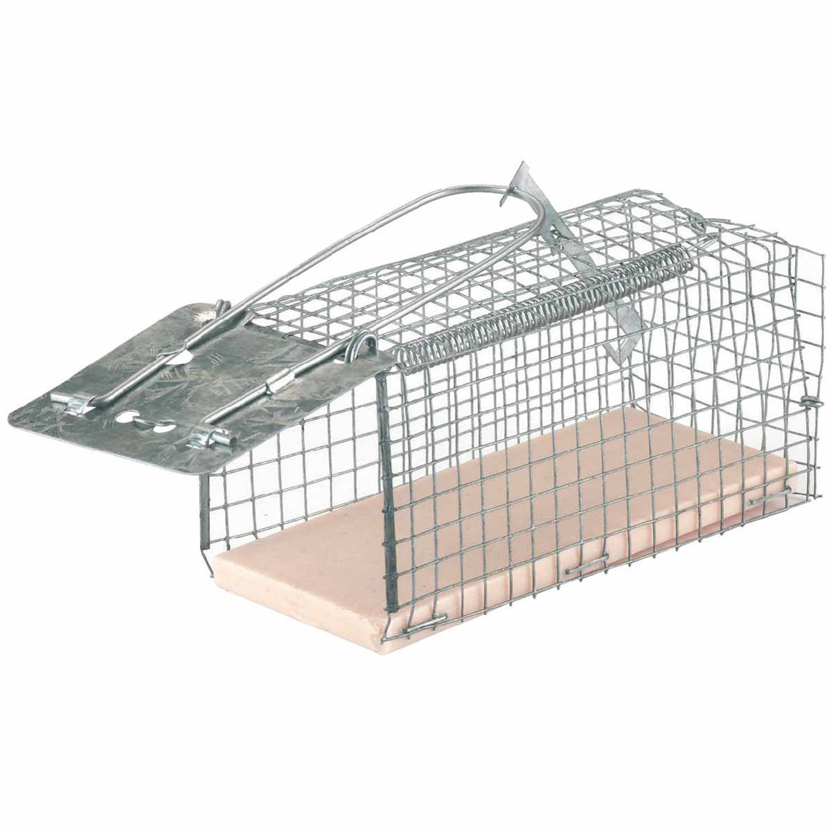 Trappola per topi Alive con gabbia in filo metallico