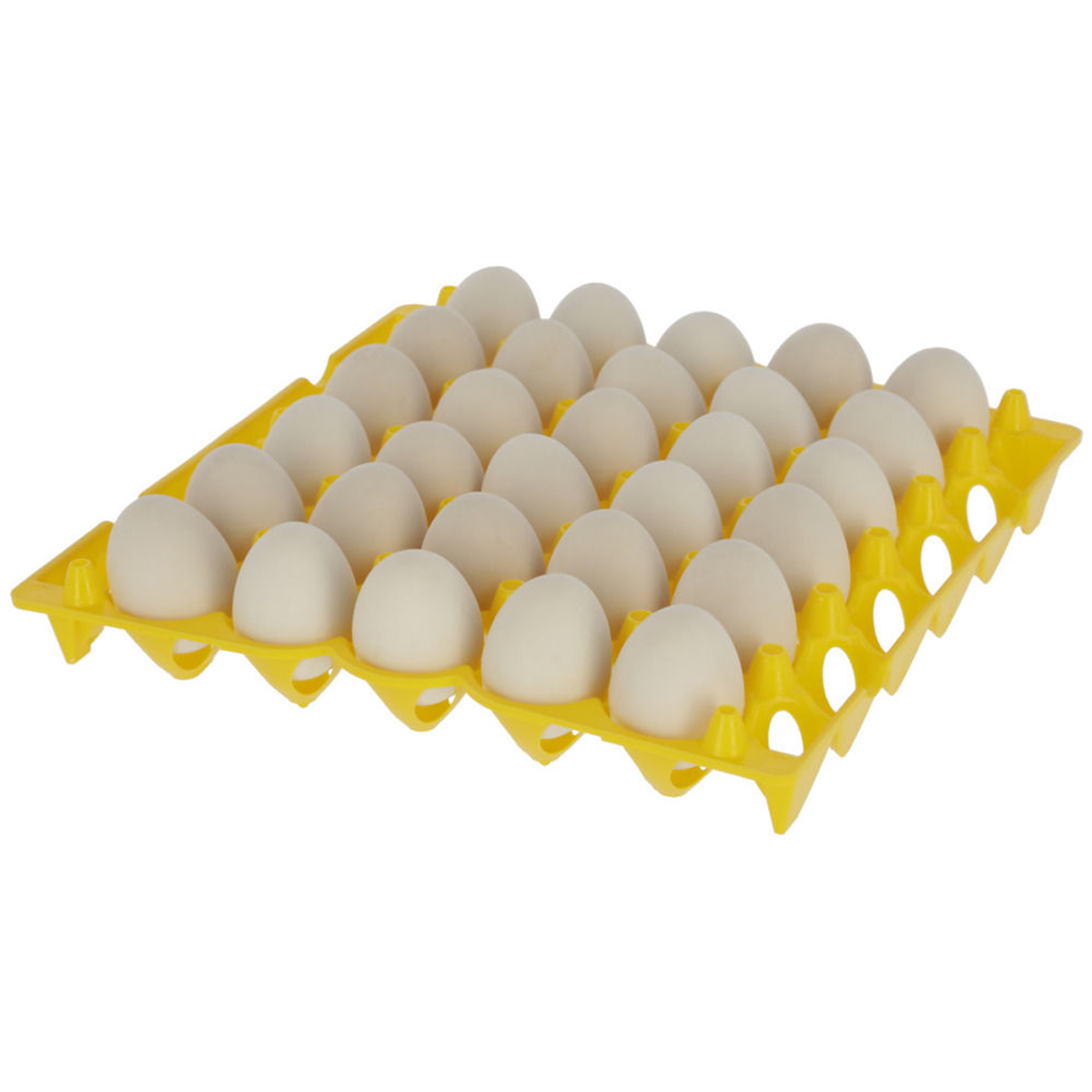 Portauova in plastica capacità 30 uova
