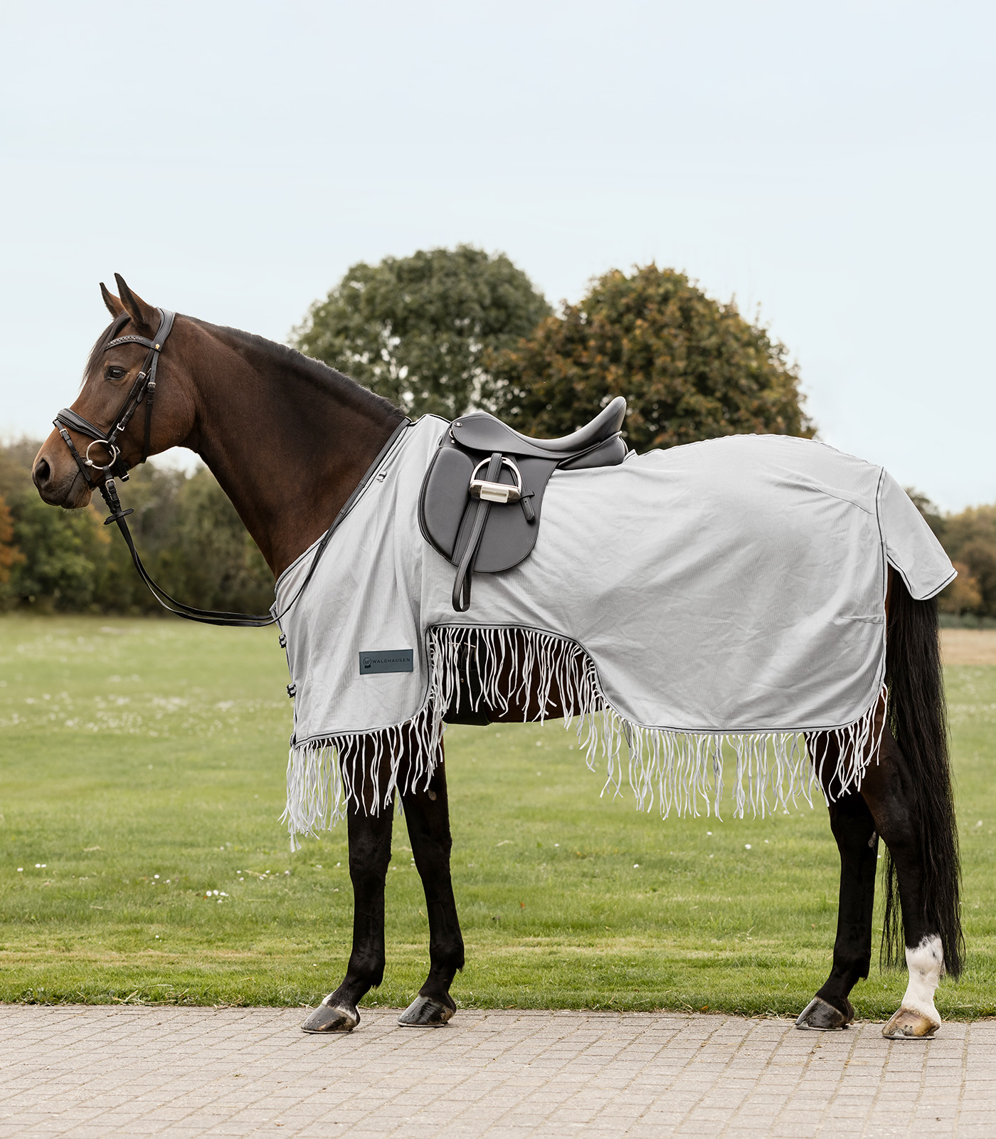 Waldhausen Coperta anti-mosche Protect con frange, argento/grigio, 115 cm