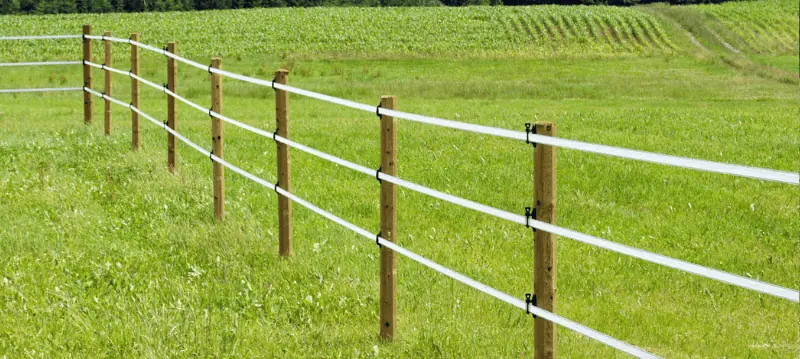 Pali per recinti elettrici