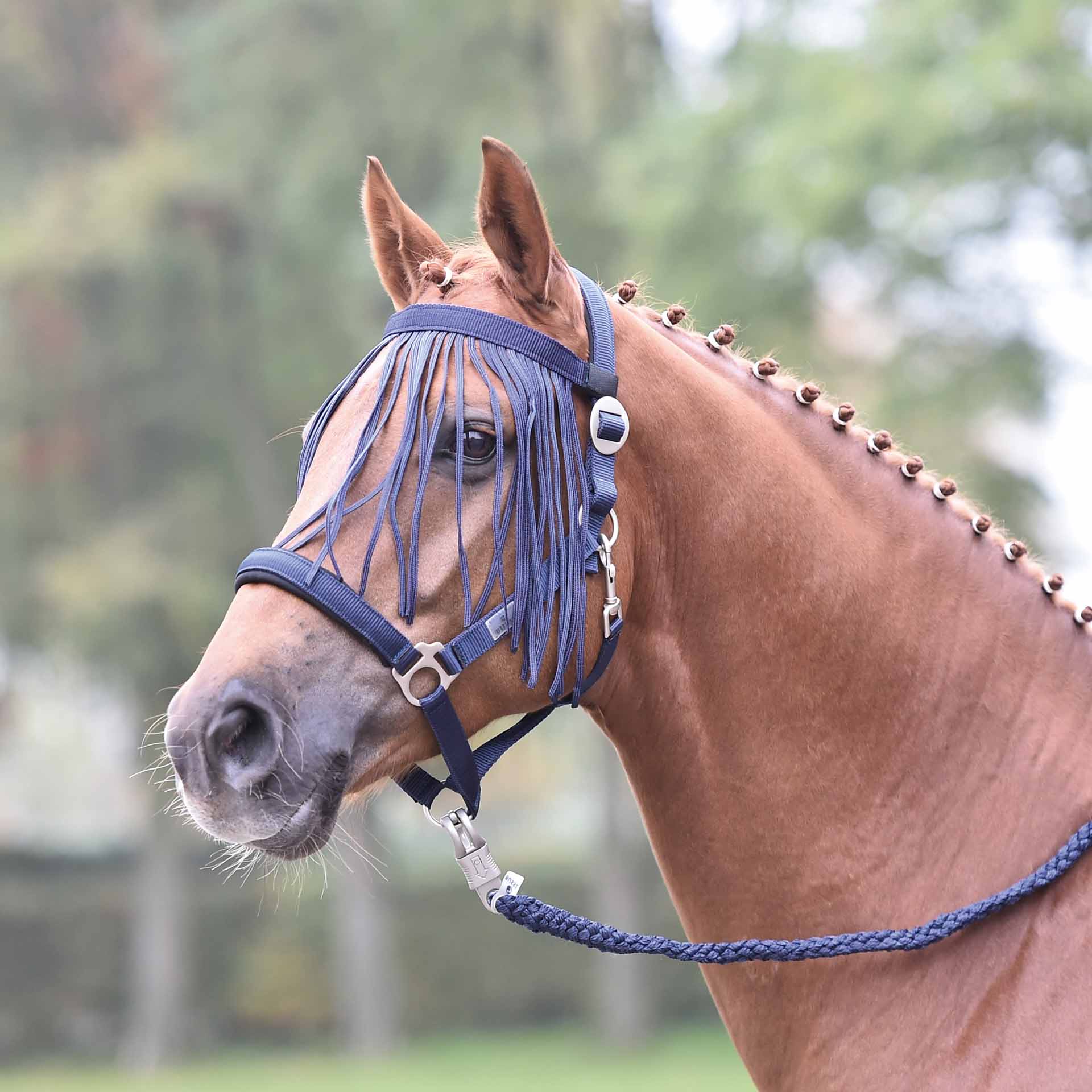 BUSSE Frontalino antimosche VISBY Pony marino