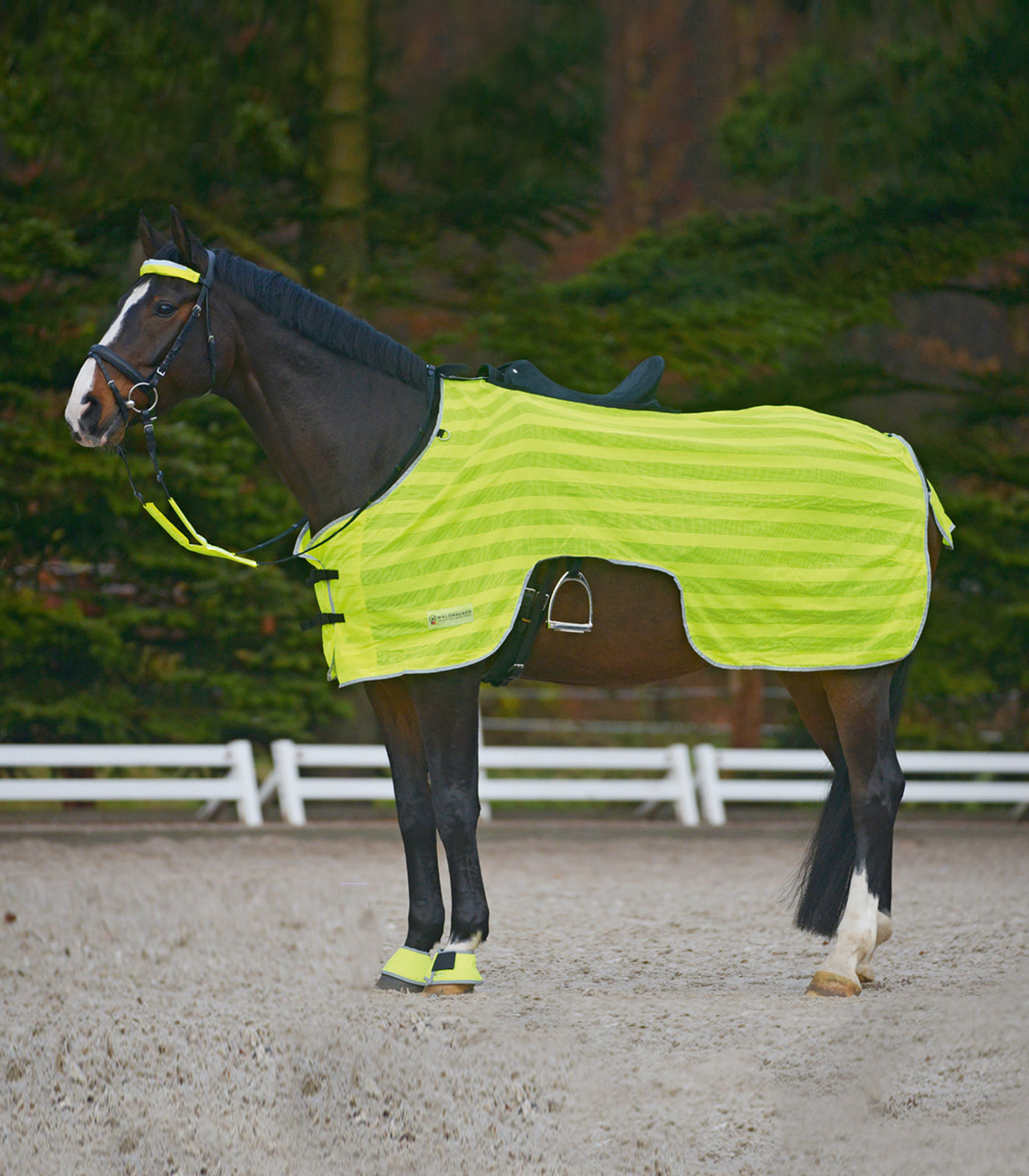Waldhausen Coperta riflettente REFLEX, neon, 125 cm