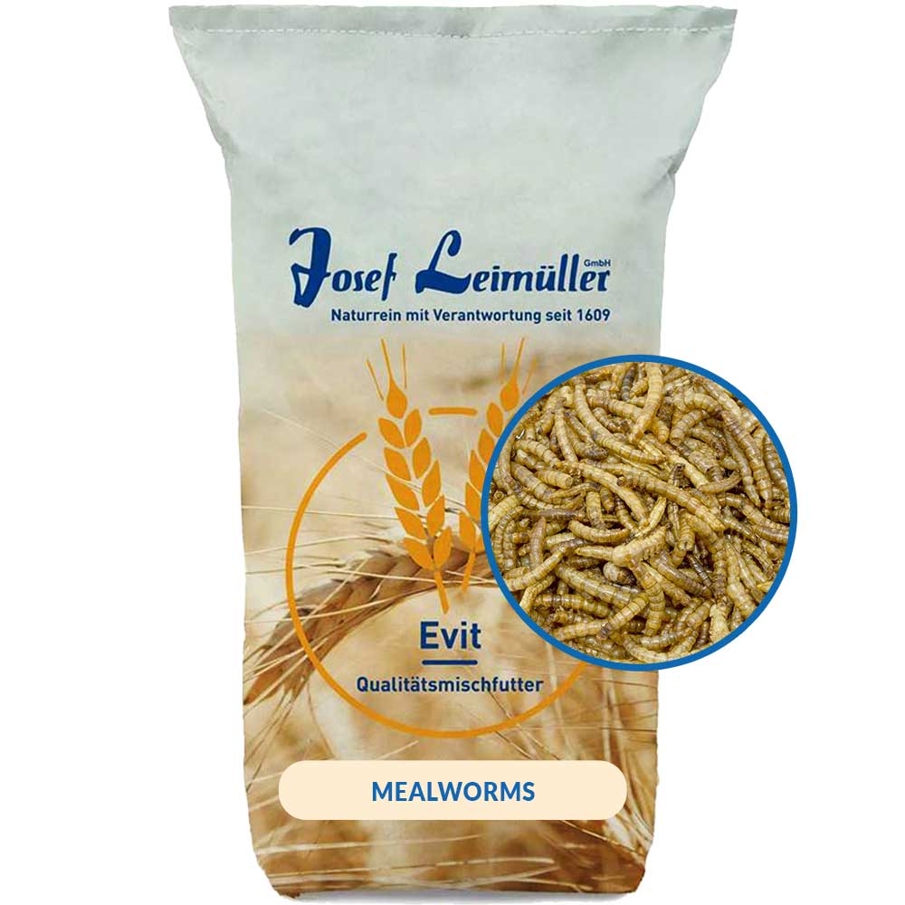 Leimüller Camole della farina essiccate 5 kg