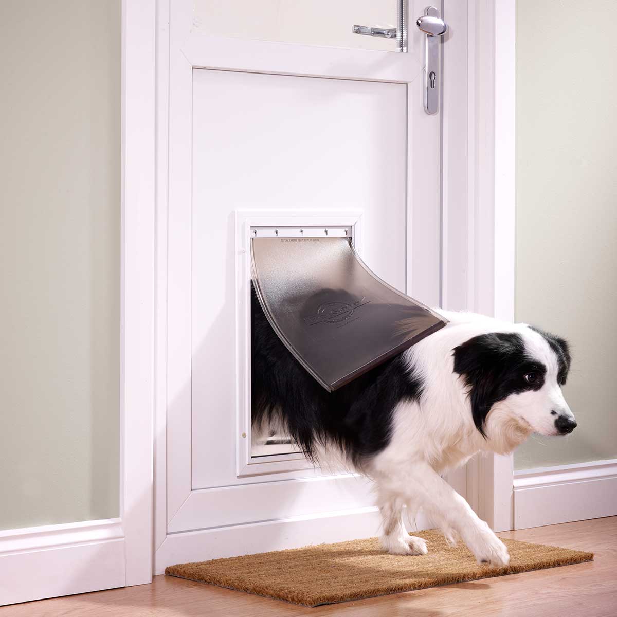 PetSafe Staywell Porta basculante per cani in alluminio 640ML. Fino a 45 Kg