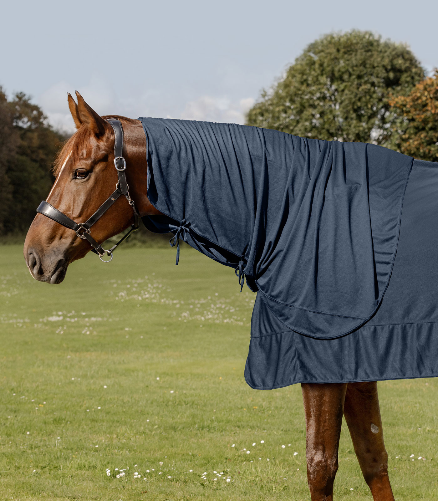 Waldhausen W-Health + Care Estensione copricollo per coperta Ice Layer, blu notte, COB