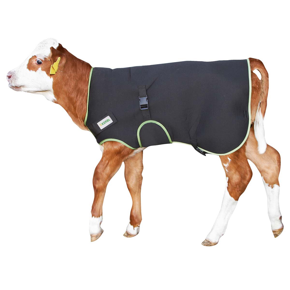 Kerbl Coperta per vitelli Premium 70 cm