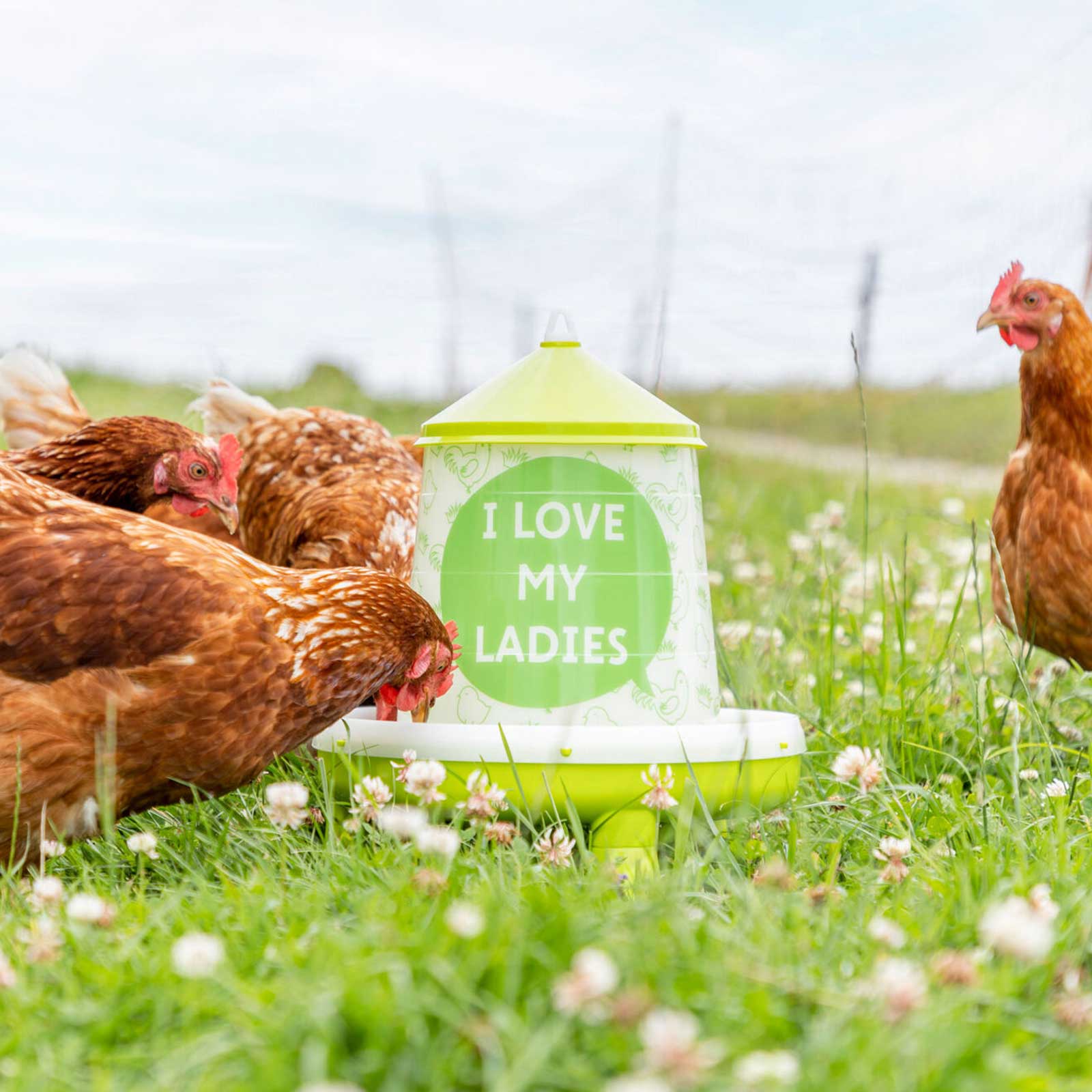 Mangiatoia automatica per galline "I love my Ladies" con piedini 2,4 litri